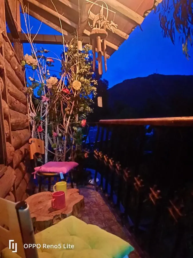 Cabana En El Arbol Picasso Villa Bogota Colombia