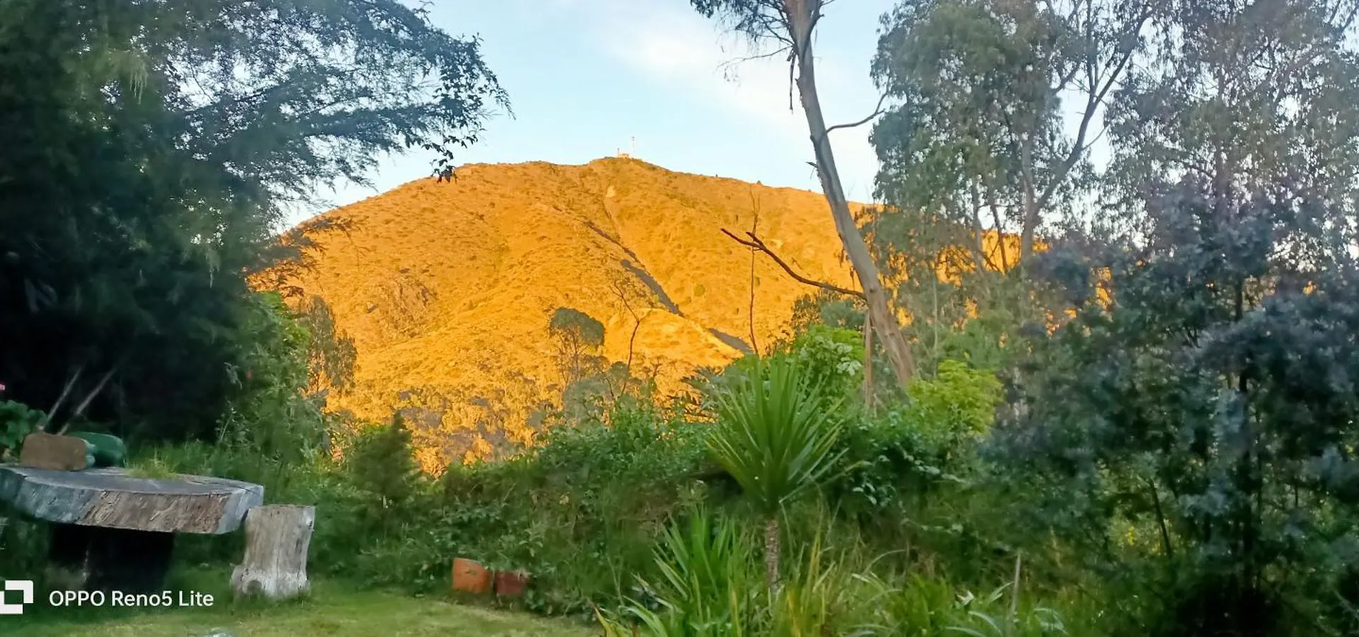 Lodge Cabana En El Arbol Picasso Villa Bogota